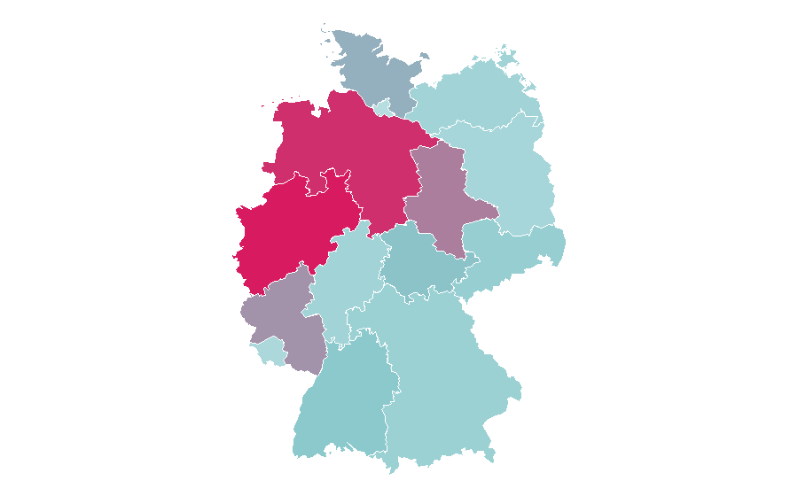 Affinity by region — Vapor steam cleaner, Germany