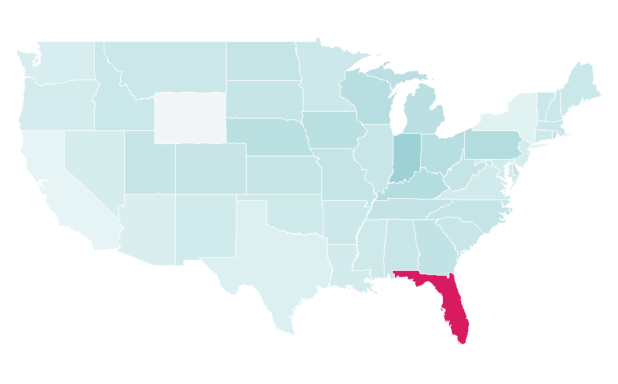 Affinity by region — winter dolphin, United States